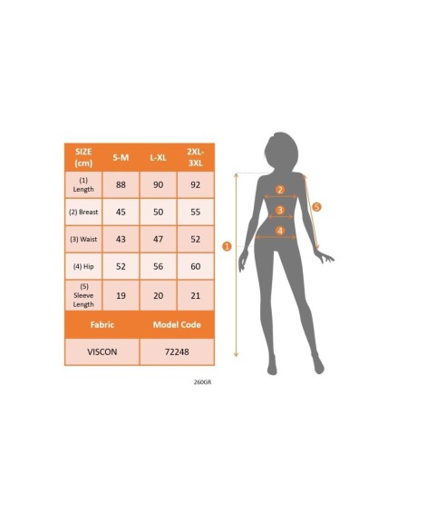 Kadın Kısa Kollu V Yakalı Etnik Desen şerit Detaylı Viskon Elbise Kadın Kısa Kollu V Yakalı Etnik Desen şerit Detaylı Viskon Elbise