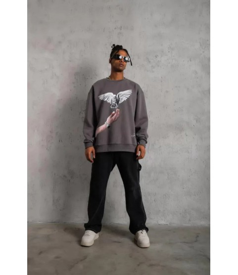 Erkek Güvercin Baskılı Sweatshirt - Gri