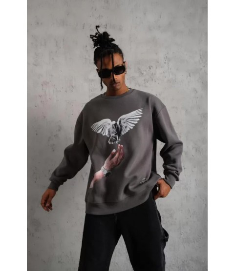 Erkek Güvercin Baskılı Sweatshirt - Gri