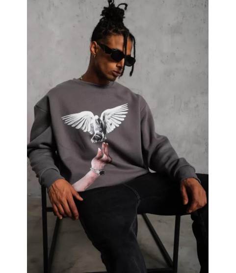 Erkek Güvercin Baskılı Sweatshirt - Gri